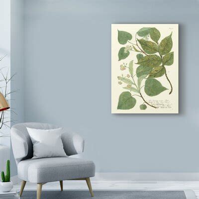 Charlton Home Greenery Iii On Canvas By Weinmann Print Wayfair