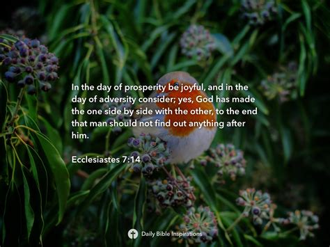 Ecclesiastes 7 14 Daily Bible Inspirations