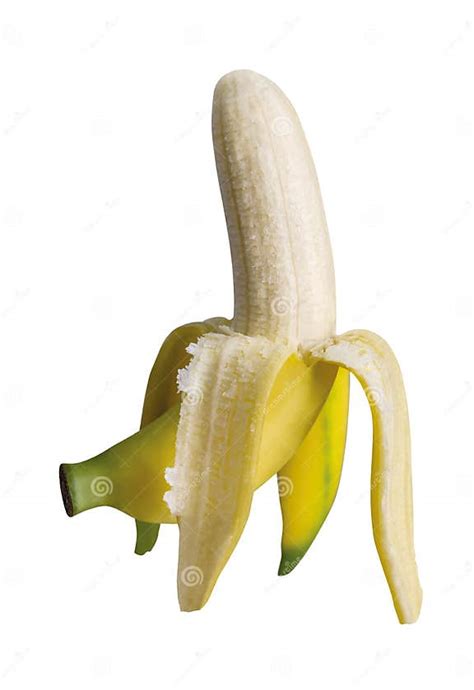 Gros Michel Banana Isolated On White Background Stock Photo Image Of