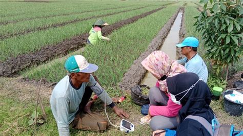 Pengaruh Pajanan Pestisida Dengan Kejadian Hipertensi Pada Petani