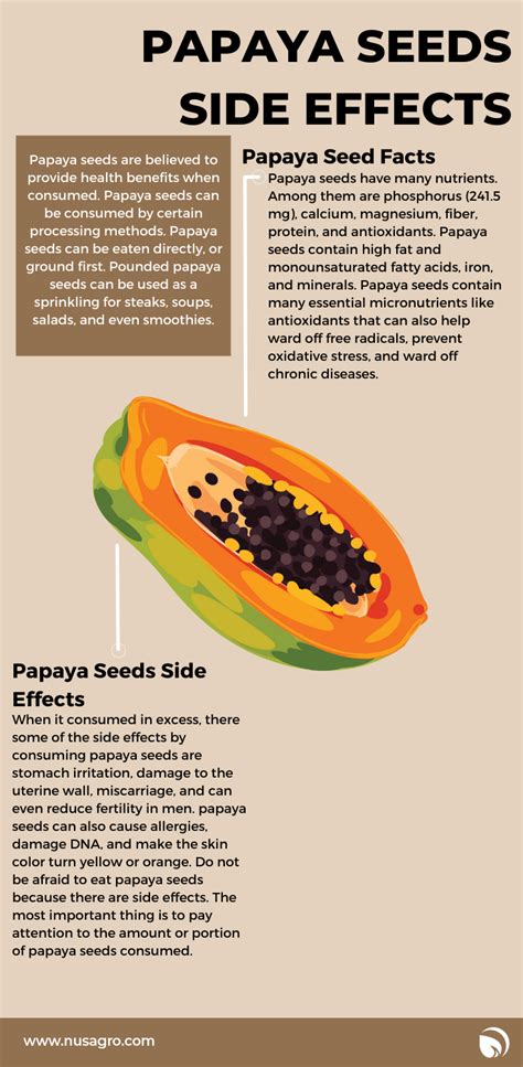 Papaya Seeds Side Effects Avoid Excessive Consumption Nusagro