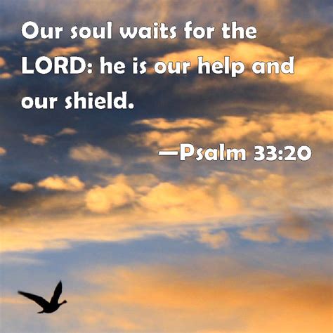 Psalm 33:20 Our soul waits for the LORD: he is our help and our shield.