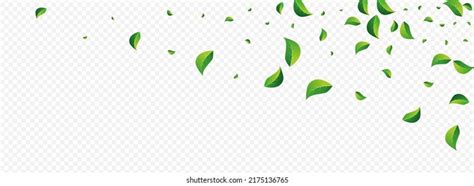 Swamp Leaves Realistic Vector Panoramic Transparent Stock Vector