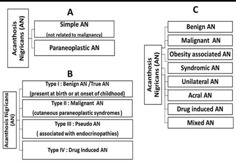 Classification Of Acanthosis Nigricans A Curth B Hernandez Perez Download Scientific
