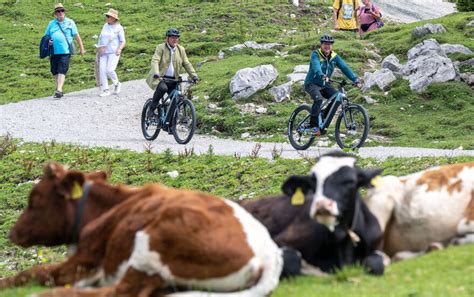 Bergsport In Den Alpen Datenbank Soll Unfall Risiko Anzeigen