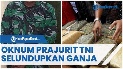 PARAH Oknum Prajurit TNI AD Nekat Selundupkan 50 Kg Ganja Di Kos Kosan