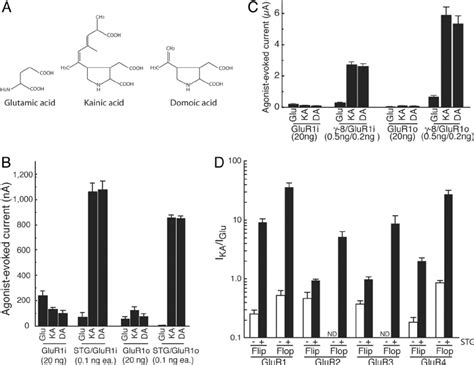 TARPs Enhance AMPA Receptor Responses To Kainate And Domoate A