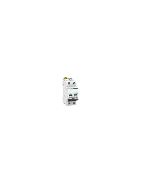 Interruptor Automático Magnetotérmico Ic60n 2p 50a Curva C Schneider Electric A9f79250