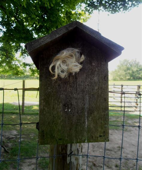 Alpaca Bird Nesting Balls | Alpaca Meadows