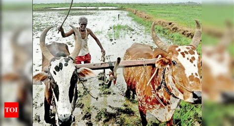 Maharashtra Government Will Require Rs 1 Lakh Crore For Full Farm Loan