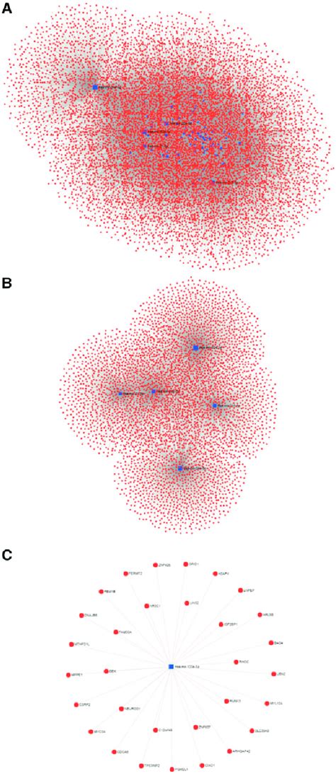 MiRNA Gene Interaction Network For MiRNA Biomarkers Of The CBD The