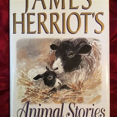 James Herriot Etsy