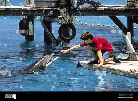 Flipper Movie High Resolution Stock Photography And Images Alamy