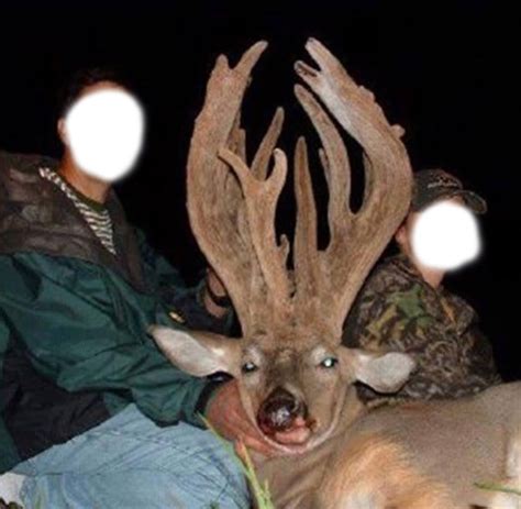 24 Photos Of Buck Deer With Super Weird Racks