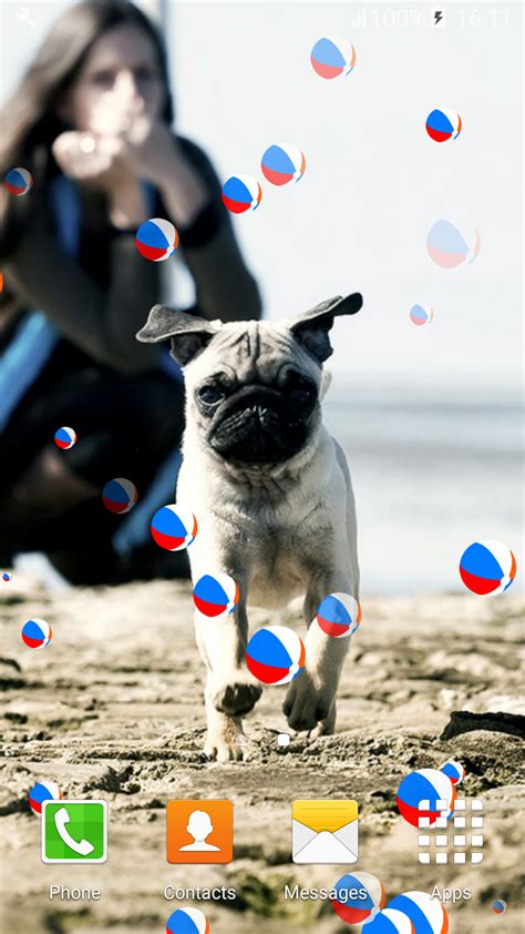 Nette Pugs Live Wallpapersamazondeappstore For Android