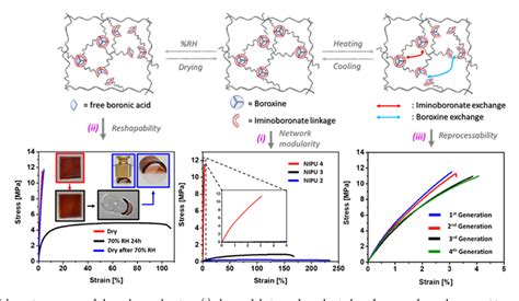 Figure 1 From Simple Approach For A Self Healable And Stiff Polymer