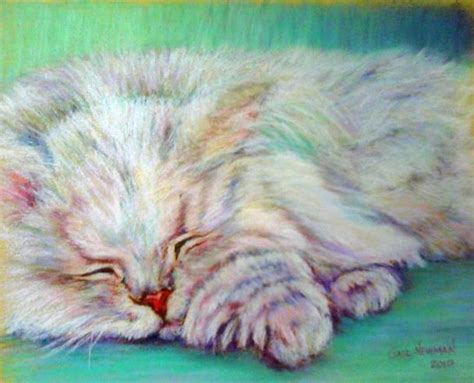 Cat Nap | Gail Newman Fine Art