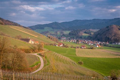 Weinproben Breisgau Badische Weinstra E