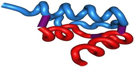 Relaxin Hormone - Assignment Point