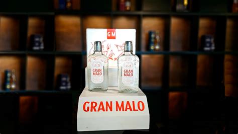 Gran Malo Lanza Al Mercado De Guatemala Su Licor De Tequila Sabor Spicy