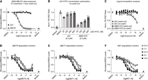 A Direct High Throughput Protein Quantification Strategy Facilitates