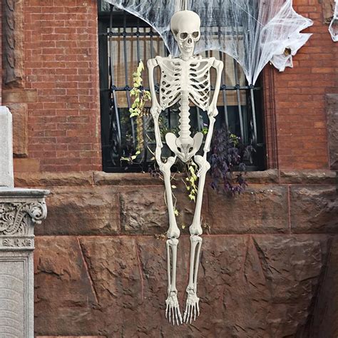 Life Size Skeleton 5 4ft 165cm Halloween Skeleton Poseable Skeleton