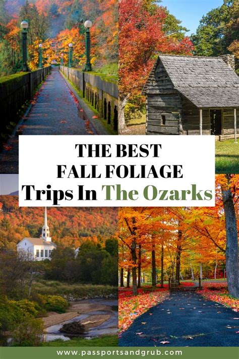 Best places to see the fall foliage in arkansas updated july 2023 – Artofit