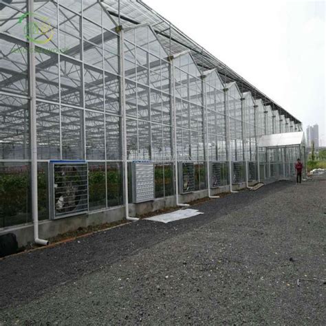 Venlo Glass Greenhouse Multi Span Arch Modern Agricultual Green House