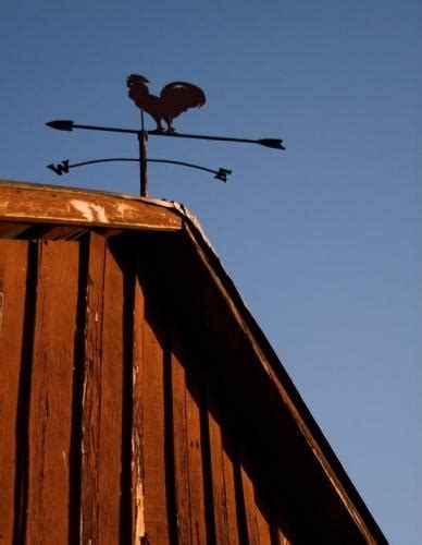 Antique Weathervane Styles And Collectors Tips Lovetoknow