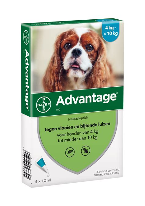 Advantage Dog Spot On Flea Treatment For Dogs Petduka