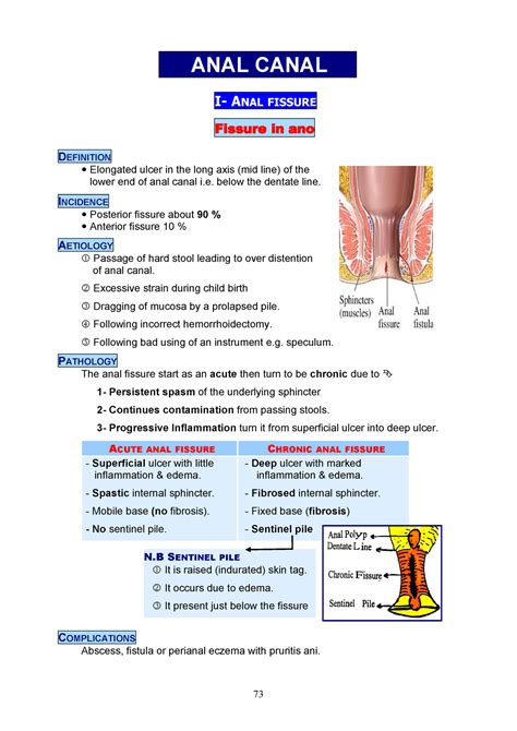 12 Anal Canal General Surgery I Anal Fissure Fissure In Ano