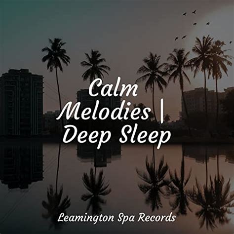 Spiele Calm Melodies Deep Sleep Von Rain Drops For Sleep Sounds Of