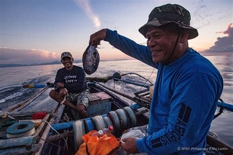 How Climate Change Is Changing Our Fisheries Wwf Philippines