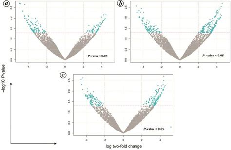 Volcano Plots Showing The D Sublimbalis Transcripts In Pairwise