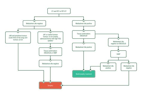 Esmo Guidelines Nsclc 2024 - Vitia Lanita