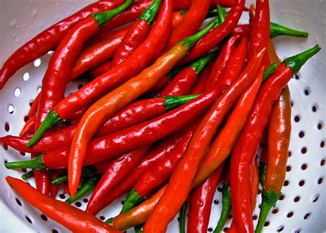 Cayenne Long Slim Heirloom Pepper Seeds Terroir Seeds