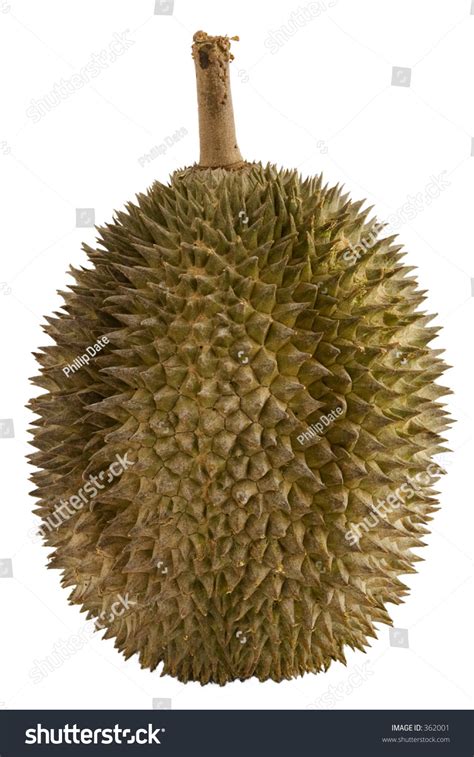 The Spiky Fruit Called The Durian Otherwise Known As The King Of The