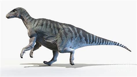 Iguanodon Photograph By Sebastian Kaulitzkiscience Photo Library