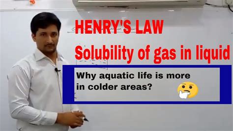 Henrys Law Solubility Of Gas In Liquid Youtube