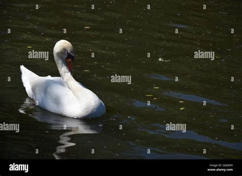 Old town of Marburg, Germany Stock Photo - Alamy