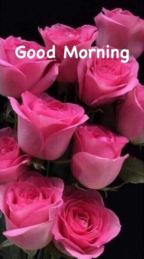 Pin By Rosalee Gatewood On Good Morning Flowers Good Morning Roses