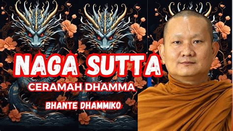 Ceramah Dhamma Bhikkhu Dhammiko Naga Sutta Ajaranbuddha Dhamma