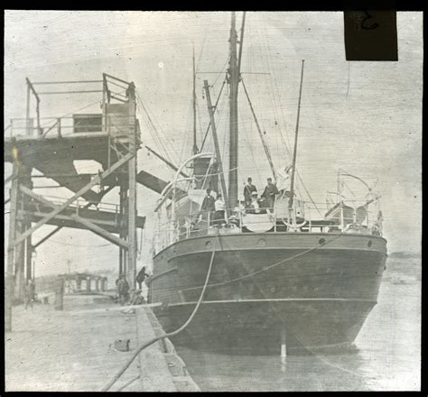 Coal Shoot Newcastle Harbour Nsw Living Histories