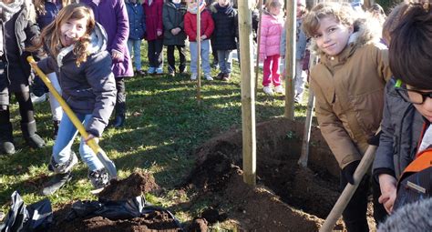 Limonest Les Coliers Ont Plant Un Arbre Solidaire