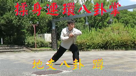 Palms Form Dun Gao Style Baguazhang Youtube