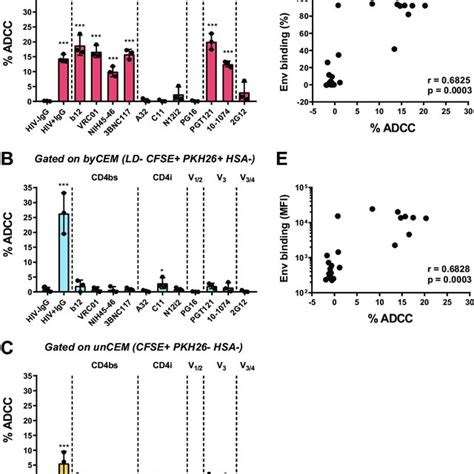 ADCC Activity Of Effector PBMCs Depends On The Frequency Of NK Cells