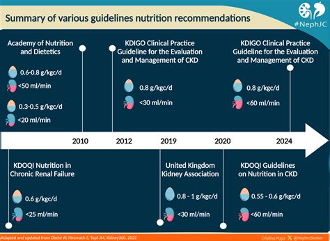 The Kdigo 2024 Ckd Guidelines Part 2 — Nephjc