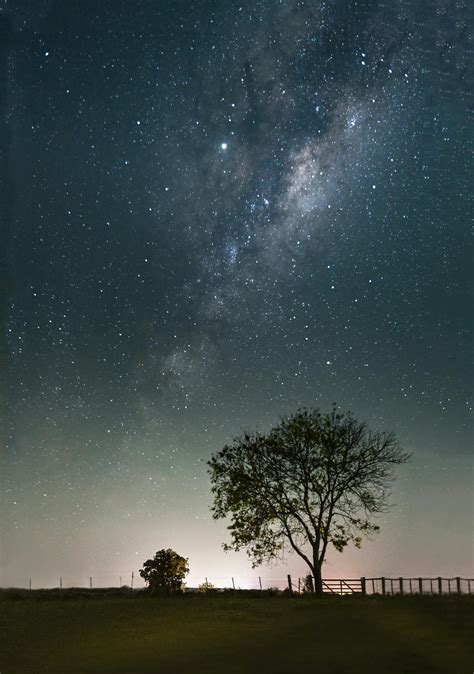 Starry Sky · Free Stock Photo