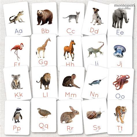 Beginning Sounds Flash Cards Artofit