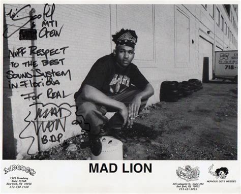 Mad Lion Tumblr Gallery